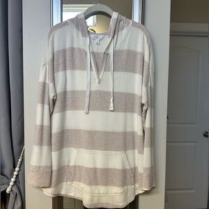 Market & Spruce v-neck brushed knit hoodie from Stitch Fix 1X